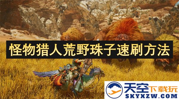 怪物猎人荒野中珠子快速获得技巧和高效刷取方法分享