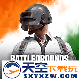 pubg mobile印度服(battlegrounds mobile india)