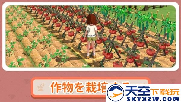 小森生活日服版正版官方安装 v2.0.6 安卓版 0