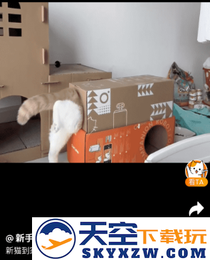 HHOLOVE智能猫窝官方app下载