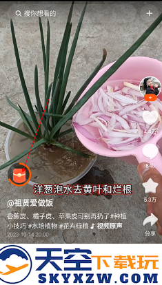 有柿下载红包版app