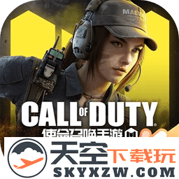 call of duty国际服