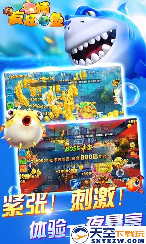 2025鱼丸疯狂捕鱼官方版 v10.2.44.1.0 安卓版 1