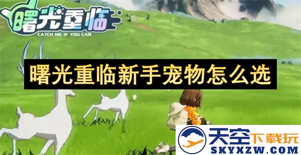 新手玩家在曙光重临中如何选择适合自己的宠物技巧解析