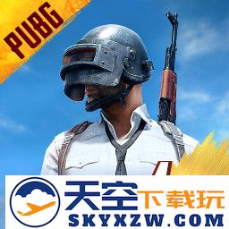 pubgmobilelite低配版