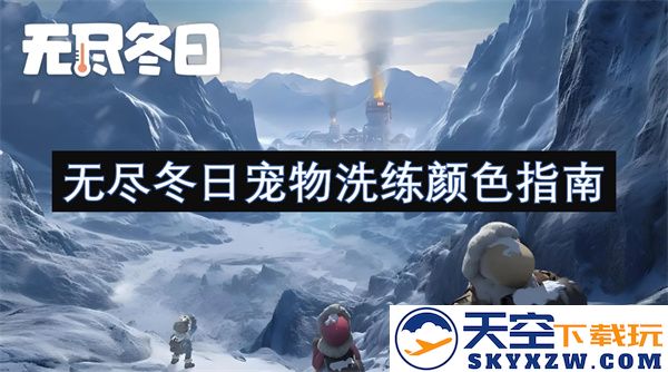 冬日宠物洗练颜色全面指南，让你的宠物在寒冷季节焕发活力与色彩
