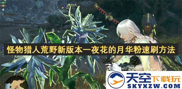 怪物猎人荒野最新版本花月之夜的粉末快速获取攻略