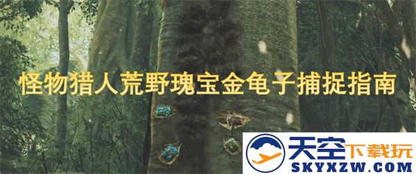 怪物猎人荒野瑰宝金龟子的捕捉技巧详解与实用攻略分享