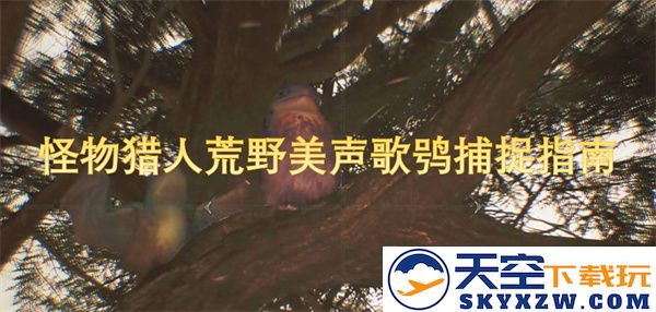 怪物猎人世界中捕捉骄傲的美声歌鸮的详细指南与技巧分享