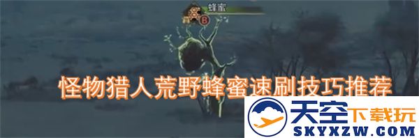 怪物猎人荒野中蜂蜜快速获取技巧分享与实用攻略推荐
