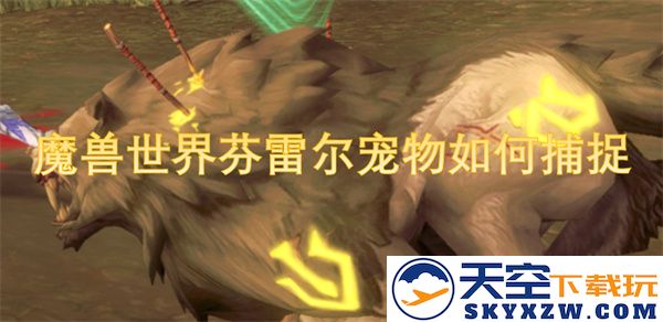 如何在魔兽世界中成功捕捉芬雷尔宠物并提高成功率的技巧和方法
