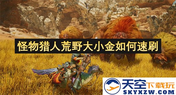 如何快速提高角色实力,迅速在怪物猎人荒野中刷取大小金的方法