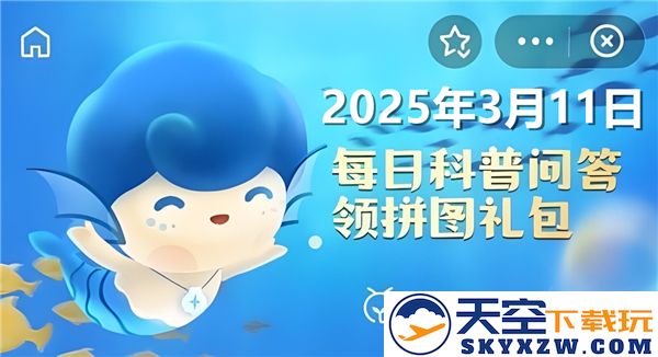 探讨鲨鱼是否存在胎生种类-神奇海洋3月11日问题分析2025