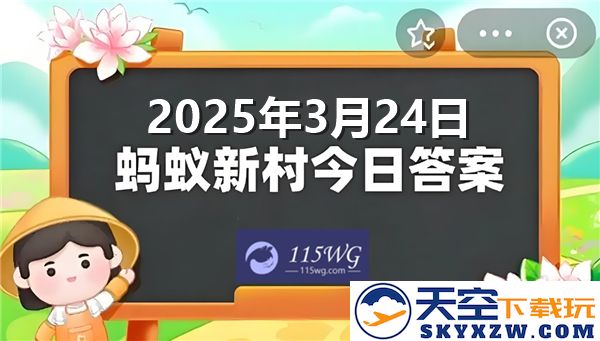 蚂蚁新村最新动态与答案汇总2025年3月24日的全面解析