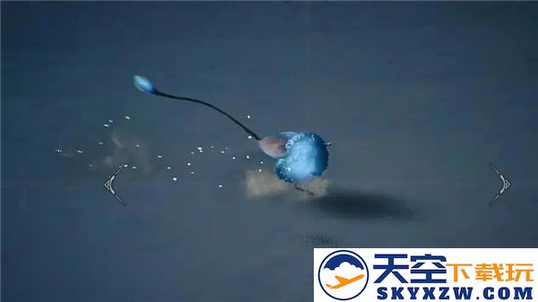 怪物猎人荒野沙野流星稀有环境生物的详尽位置解析与地图指引