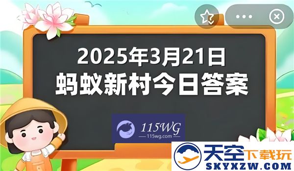 蚂蚁新村最新动态与正确答案更新：2025年3月21日详细分析与解读