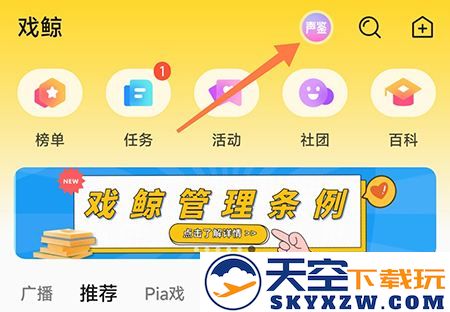 戏鲸怎么鉴定声音