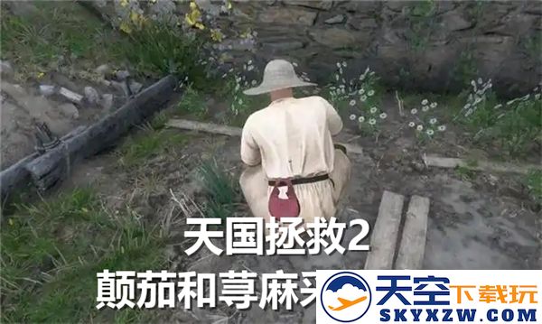 天国拯救2中颠茄与荨麻的具体采集地点和分布情况介绍