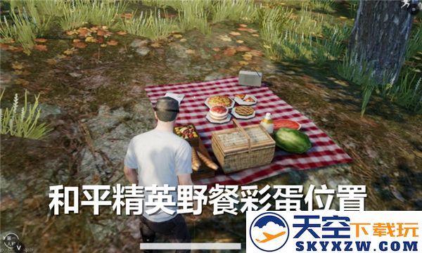 和平精英野餐彩蛋具体位置揭秘-全面解析三个野餐彩蛋位置及其获取方法
