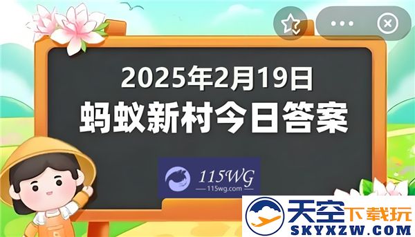蚂蚁新村今日正确答案更新2025年2月19日最新动态分析