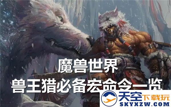 魔兽世界兽王猎手必备宏命令全面解析与实用技巧分享