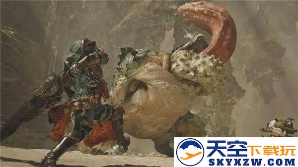 怪物猎人荒全野怪属性弱点分析与克制策略详解