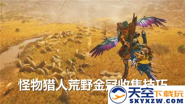 怪物猎人荒野金冠获取秘籍大揭秘-高效金冠收集技巧分享