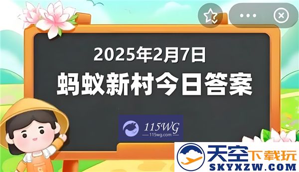 蚂蚁新村今日正确答案更新，最新信息汇总至2025年2月7日，助你轻松获取知识