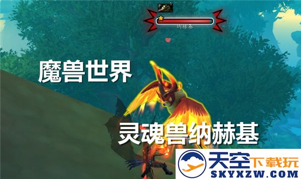 魔兽世界如何获取灵魂兽纳赫基-灵魂兽纳赫基的详细获得方法及途径解析