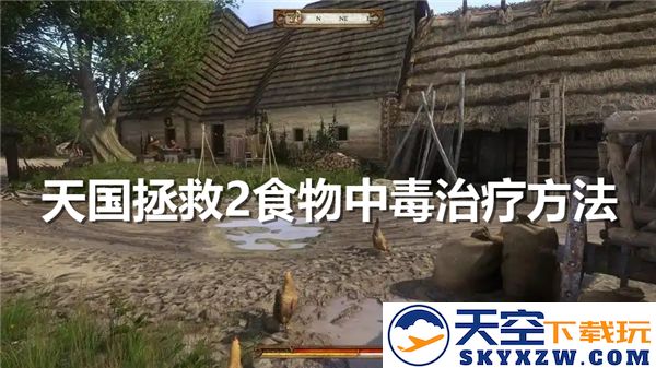 天国拯救2食物中毒的救治措施及恢复方法指南