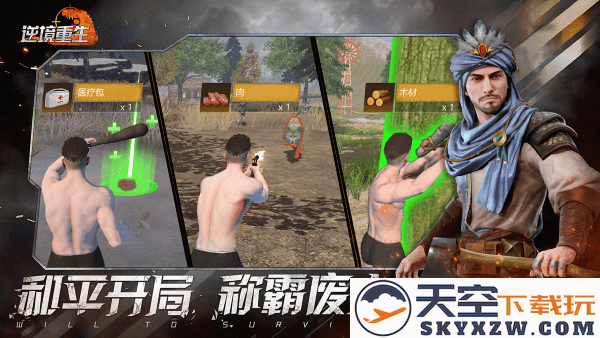 逆境重生手游官方版 v0.18.5 安卓版 4