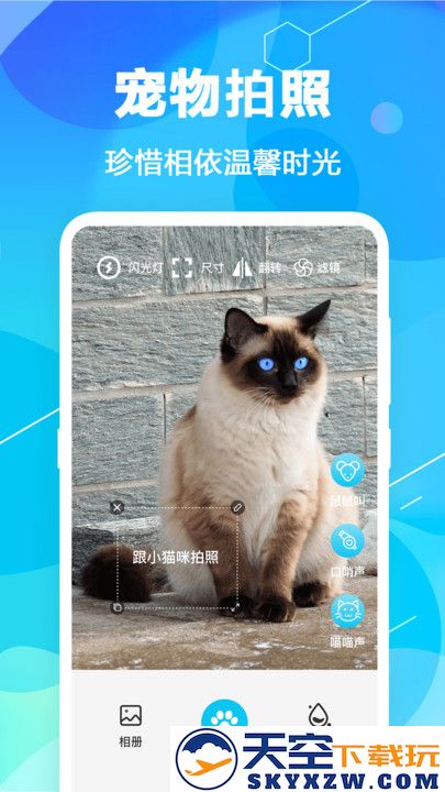 猫语翻译pet官方版 v7.1.7128 安卓版 0