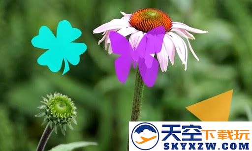mxplayer视频播放器汉化版 v1.96.1 安卓最新版 0