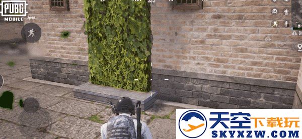 pubg四象修行玩法