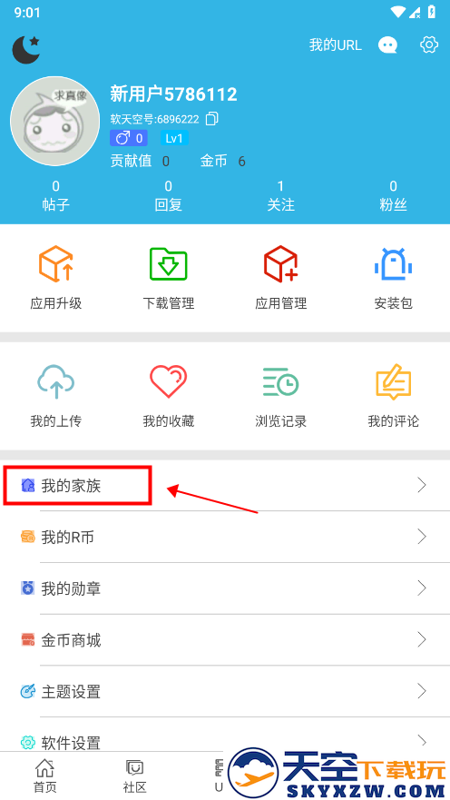 软天空怎么加入家族