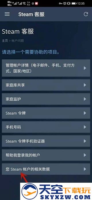 steam手机版怎么改api