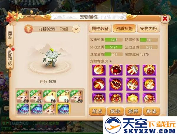 梦幻西游宠物说明