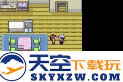 口袋妖怪漆黑的魅影二周目通关攻略