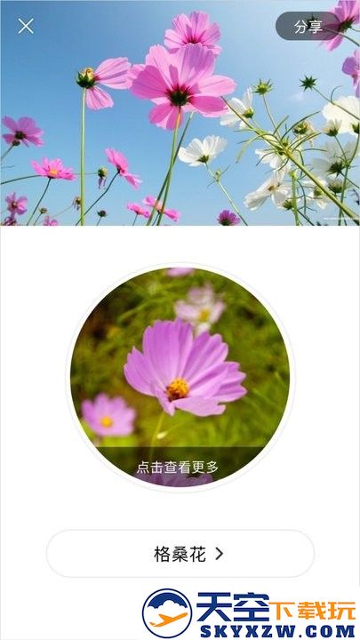 识花大师手机版 v1.3.8 安卓版 1