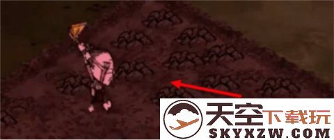 饥困荒野怎么种地