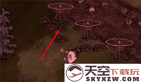 饥困荒野怎么种地