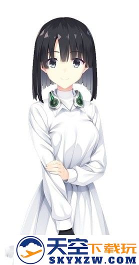 桥姬雏菊
