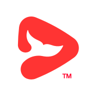 锦书在线网校app