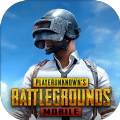 地铁逃生PUBG国际服 2025官方正版
