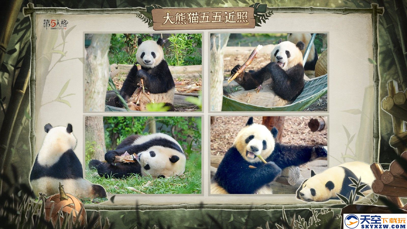 《第五人格》熊猫系列时装今日上新及返场