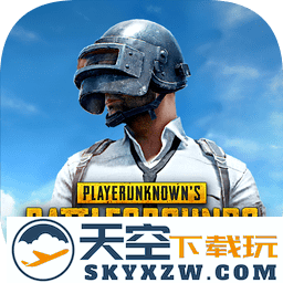 PUBG M(国际服地铁求生)